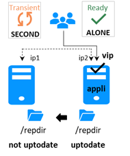 Failback and reintegration of a mirror module