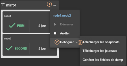 Image de la console web SafeKit
Télécharger le snapshot du module pour chaque nœud 