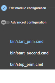 Image de la console web SafeKit
Éditer le script start_prim du module miroir avec l'assistant de configuration du module