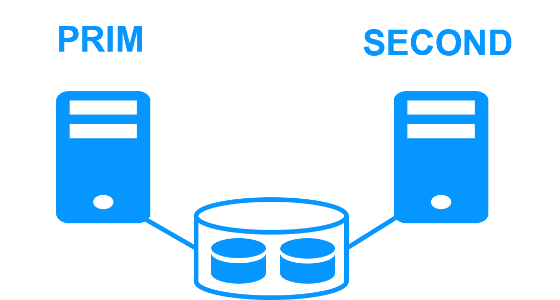 Shared disk cluster